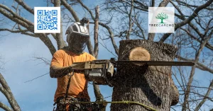 Martinsburg Tree Service
