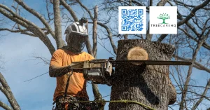 Mustang Tree Service
