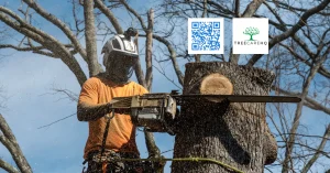 Ruckersville Tree Service